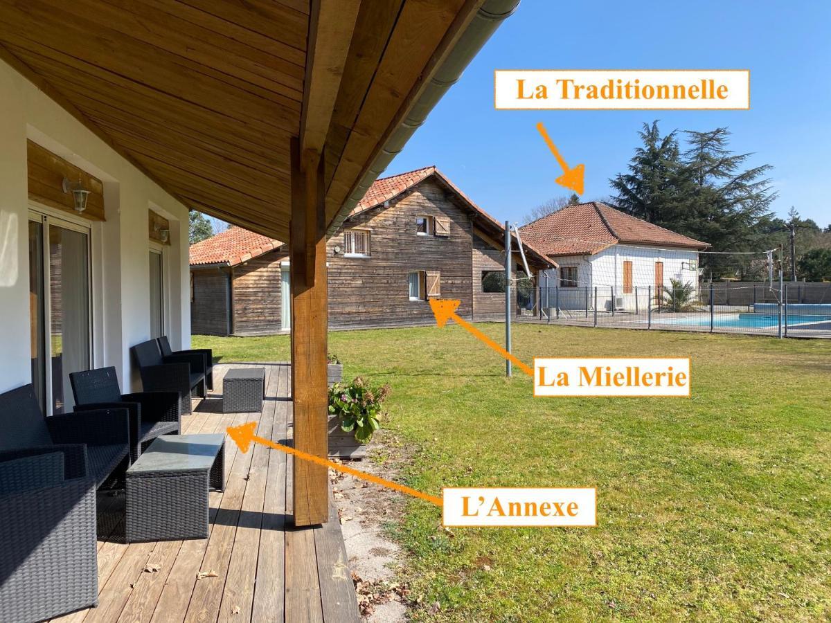 סנגווינה Ensemble De 3 Villas Avec Piscine Chauffee, Esprit Detente מראה חיצוני תמונה